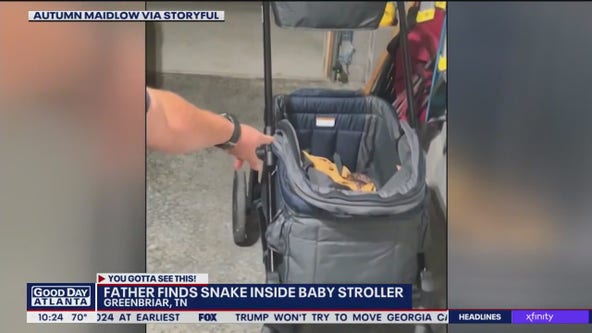 Dad finds giant snake in baby stroller