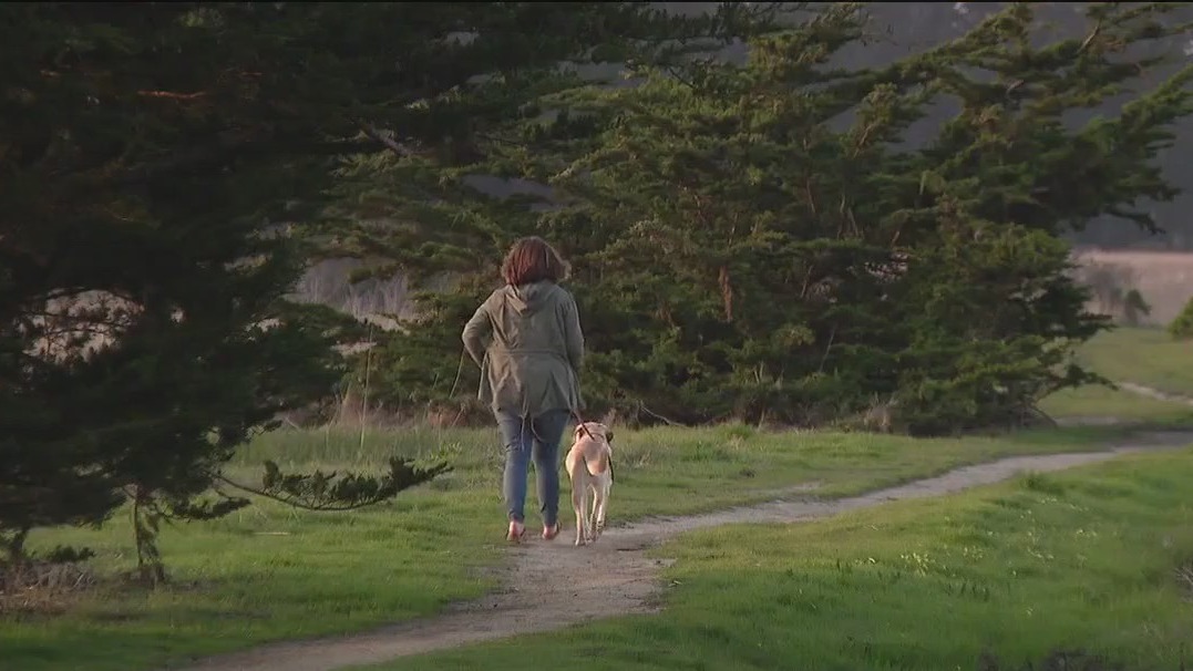 Woman groped along walking trail in Half Moon Bay