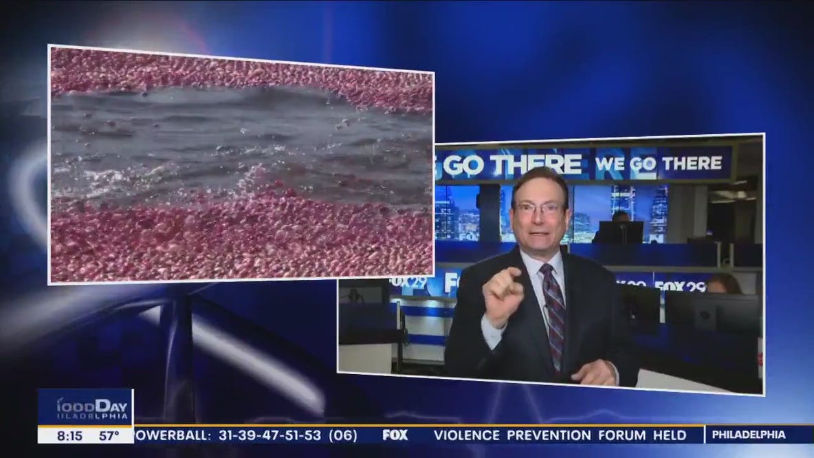 Health Watch: Cranberry juice can help women with a common illness