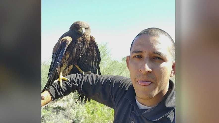 Arizona pest control technician saves hawk who nearly drowned in a pool