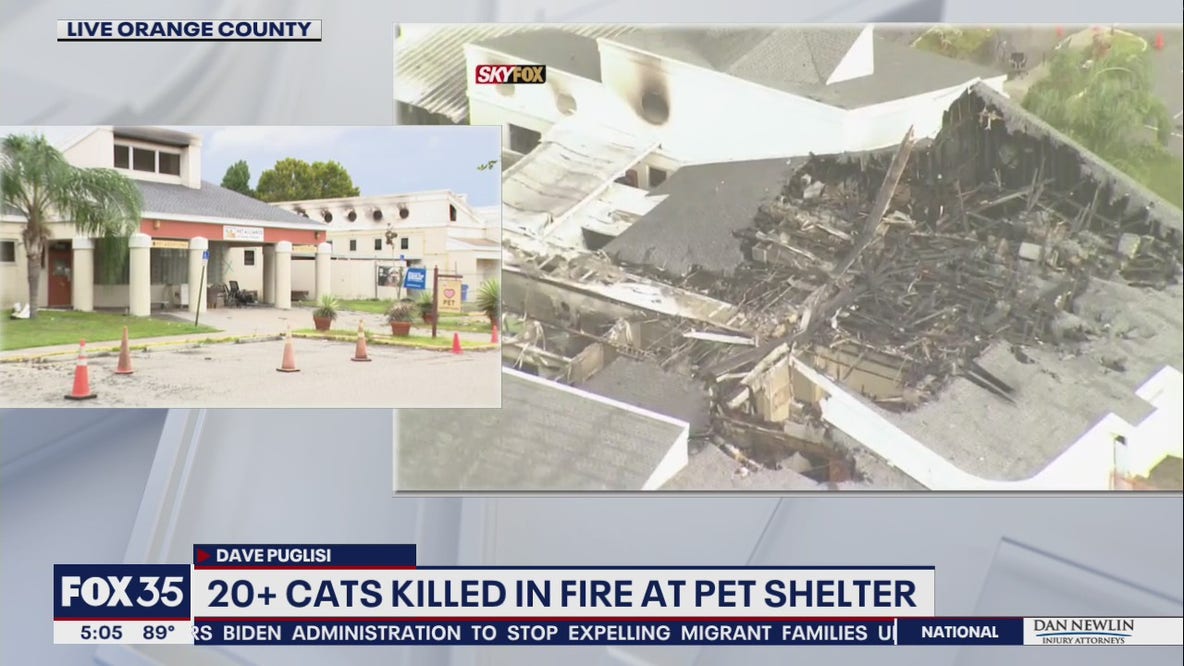 Several cats killed in fire a Orlando pet shelter