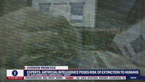 A.I. poses human extinction risk, experts say