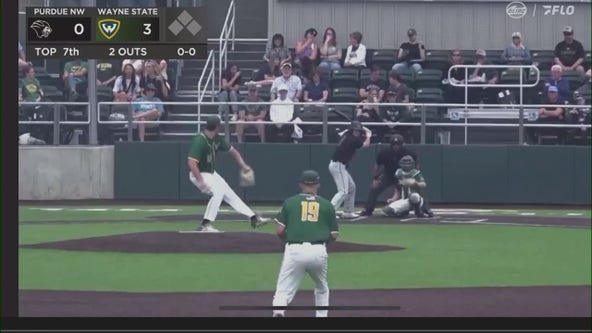 Wayne State pitcher Karter Fitzpatrick tosses perfect game