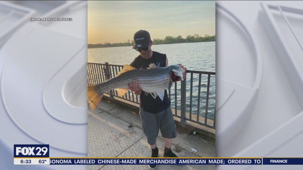 Man catches massive striped bass in Delaware River