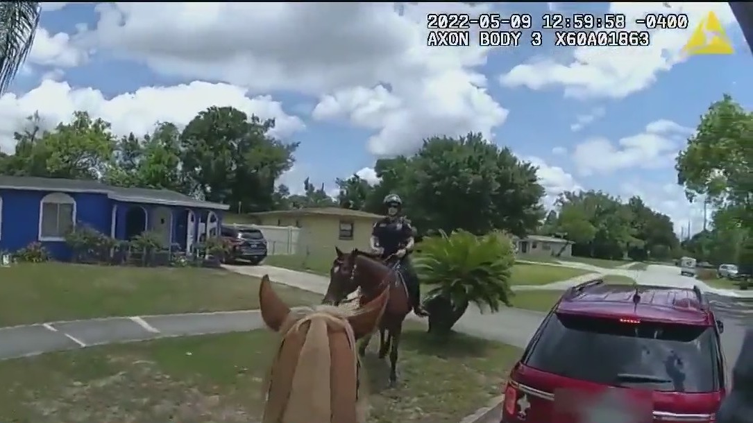 Orlando police nix mounted horse patrol