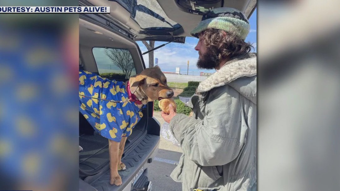 从奥斯汀宠物救助中心被偷走的狗狗已经被送回救助中心了