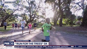 Weekend Wonders: 29th Run For The Trees 5K
