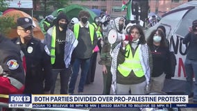 House divided over pro-Palestine protests