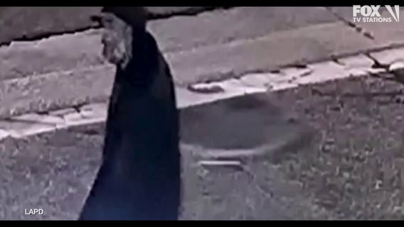 LAPD shares image of possible South LA New Year's Day murder suspect