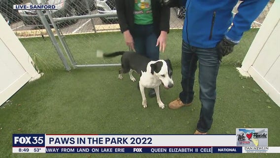 Paws in the Park 2022