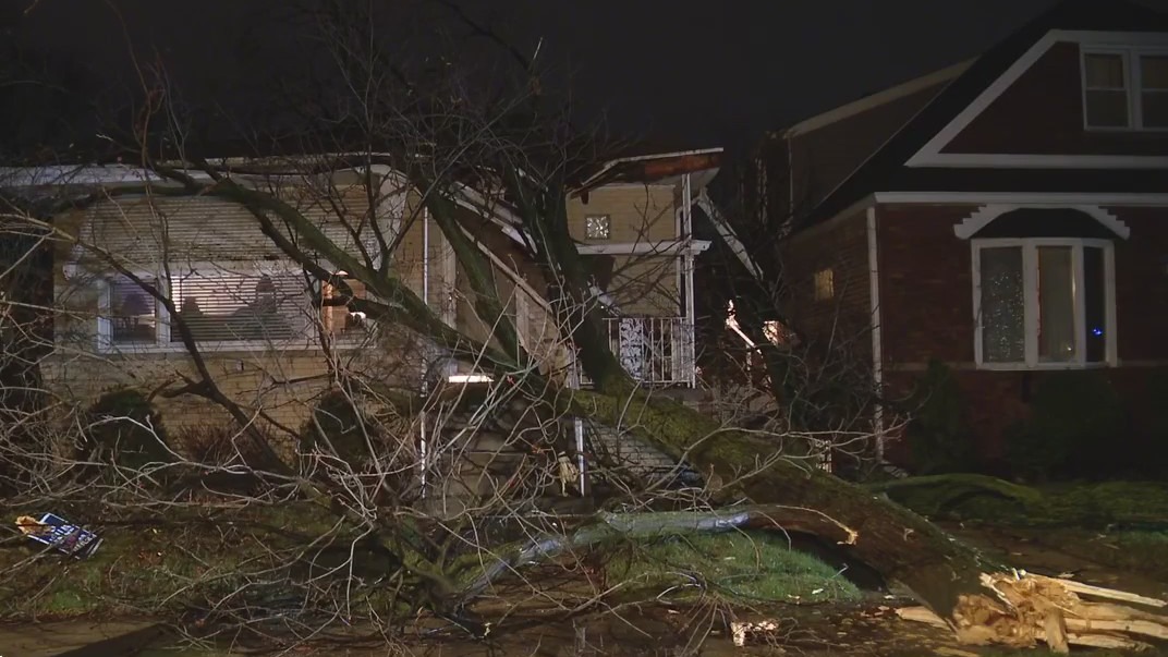 Tree falls onto Mount Greenwood home