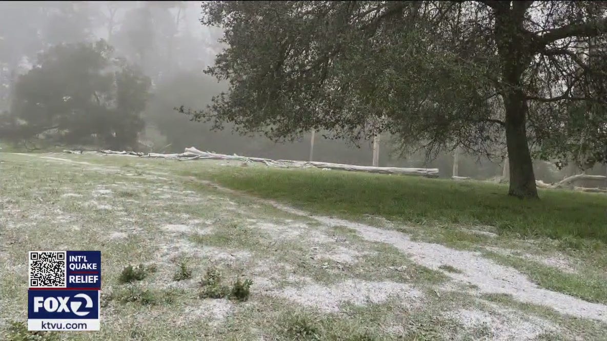 Snow falls in Oakland and Berkeley hills with more expected