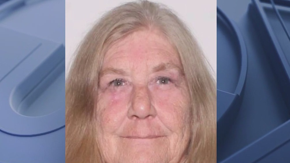 Florida deputies searching for woman who went missing after car broke down a week ago