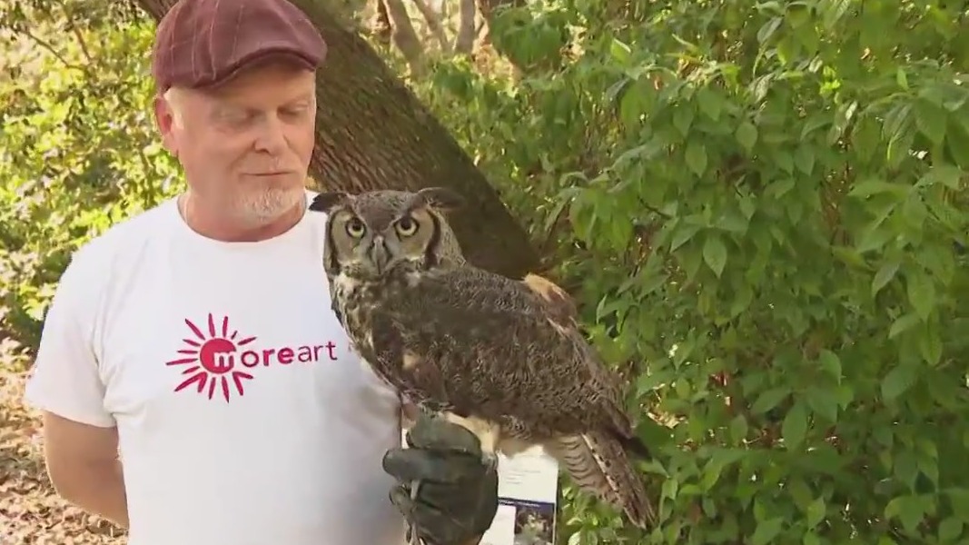 Raptor Fest comes to Boyd Hill Nature Preserve