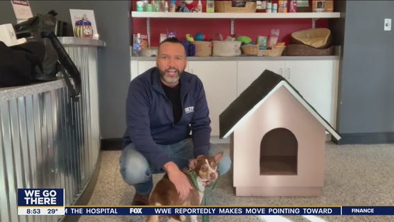 FurEver Home: January 15, 2023