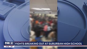 Fights breaking out at suburban high school