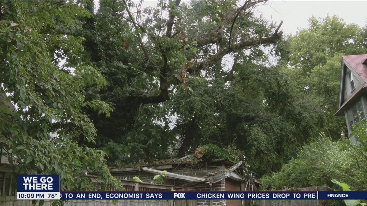 Woman in critical condition after being struck by fallen tree branch in backyard, police say
