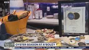 Oyster season at a'Bouzy