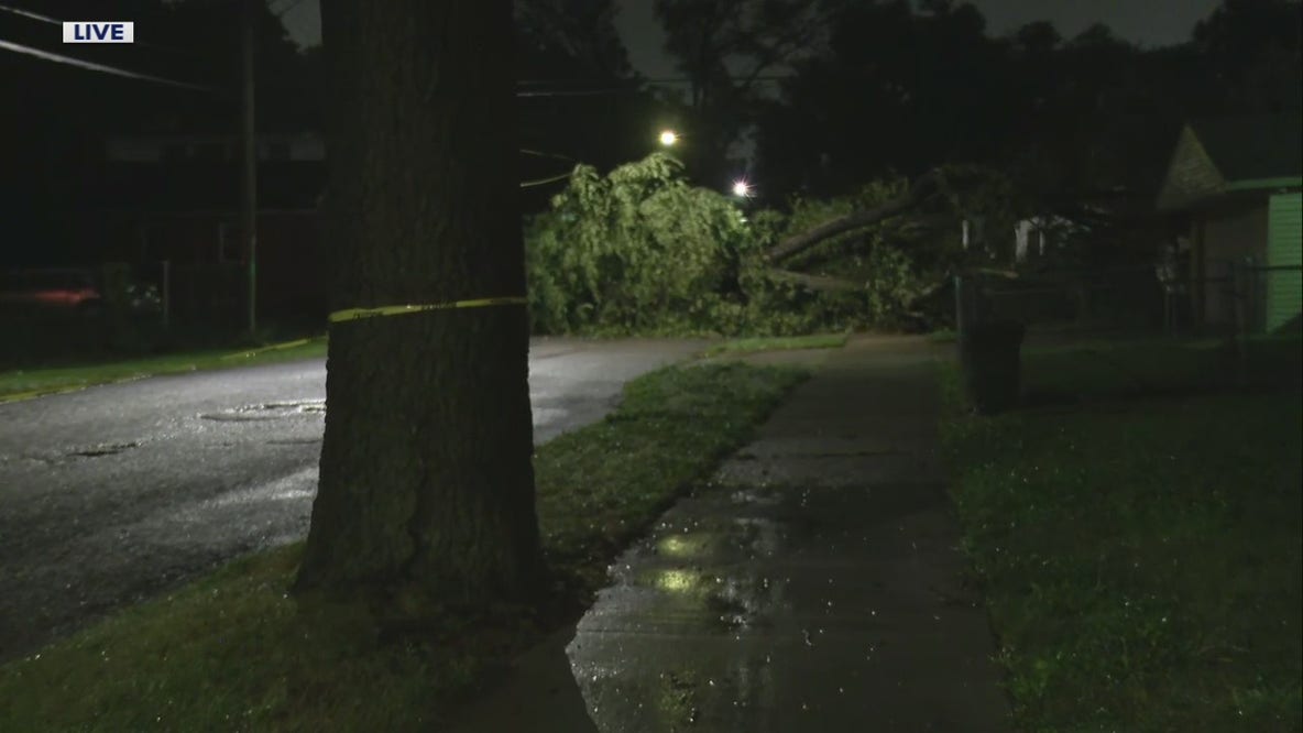Large tree blocks Detroit street