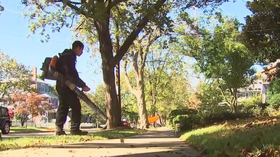 Florida lawmakers debate use of gas leaf blowers