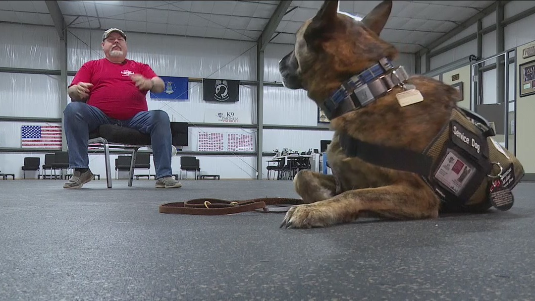 At K9 Partners for Patriots, veteran helped heal himself by helping others