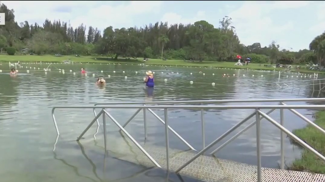Saving Warm Mineral Springs