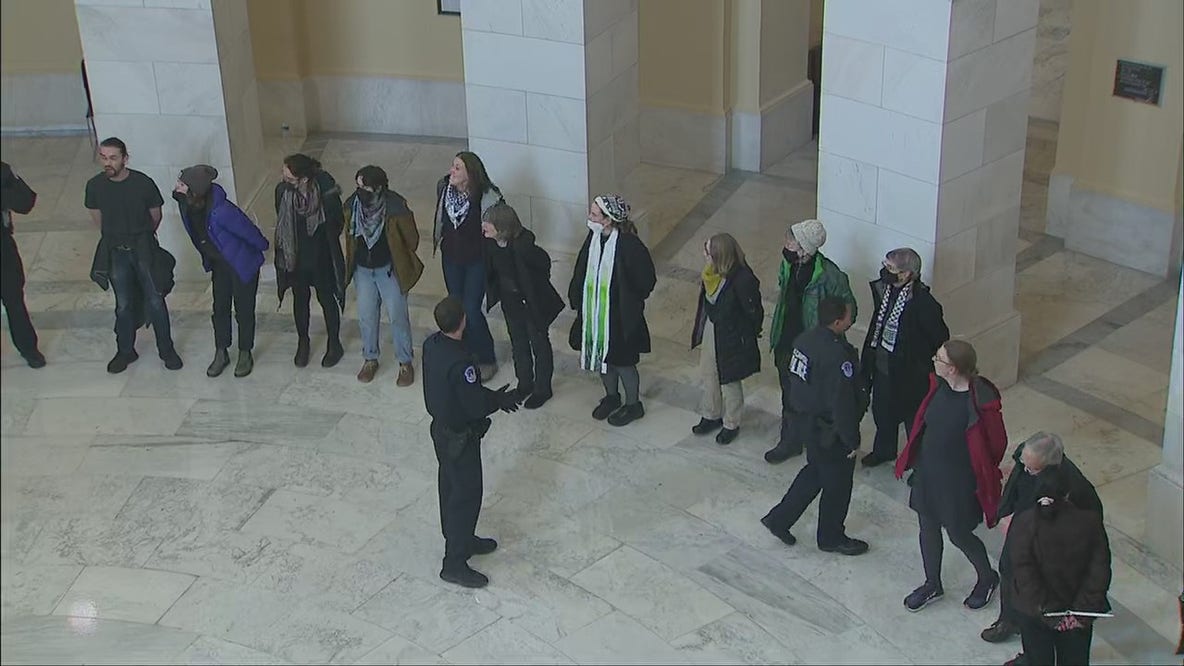 "Let Gaza Live" protest at the Capitol