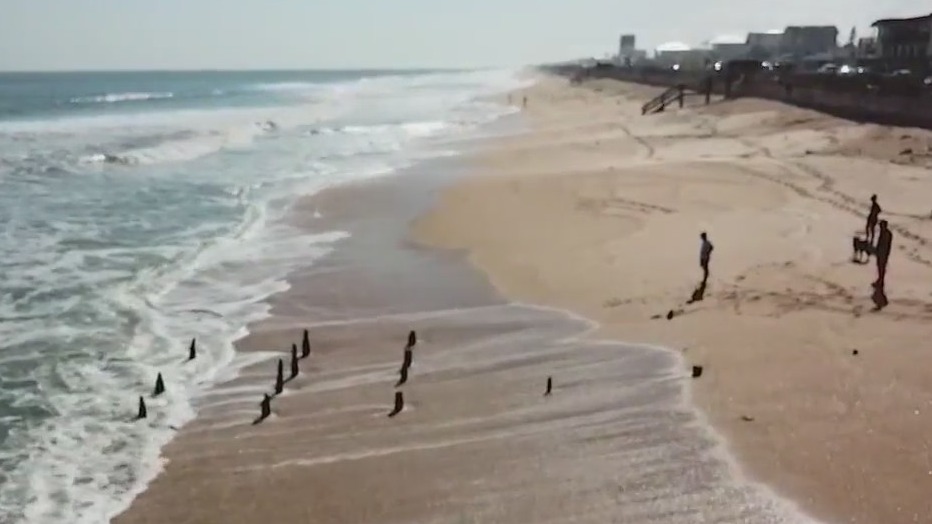 Another set of mystery objects found at a Florida beach