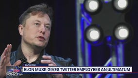 Elon Musk gave Twitter employees an ultimatum: Go "hardcore" or leave