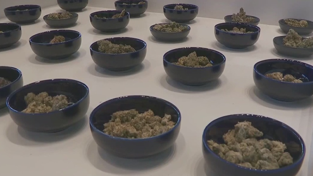 Recreational pot could be on 2024 ballot