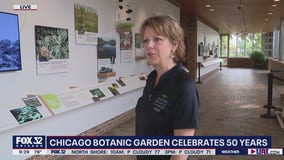 Chicago Botanic Garden celebrates 50 years of growth with 'Flourish: The Garden at 50'
