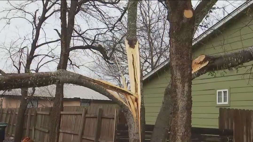 WilCo residents begin to clean up following Central Texas winter storm