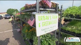 What's in store at local farmer's markets