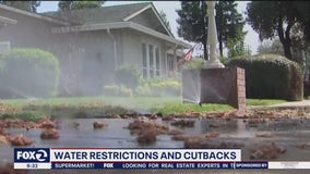 Mandatory water restrictions showing signs of progress