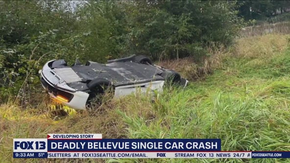 Deadly single car crash in Bellevue