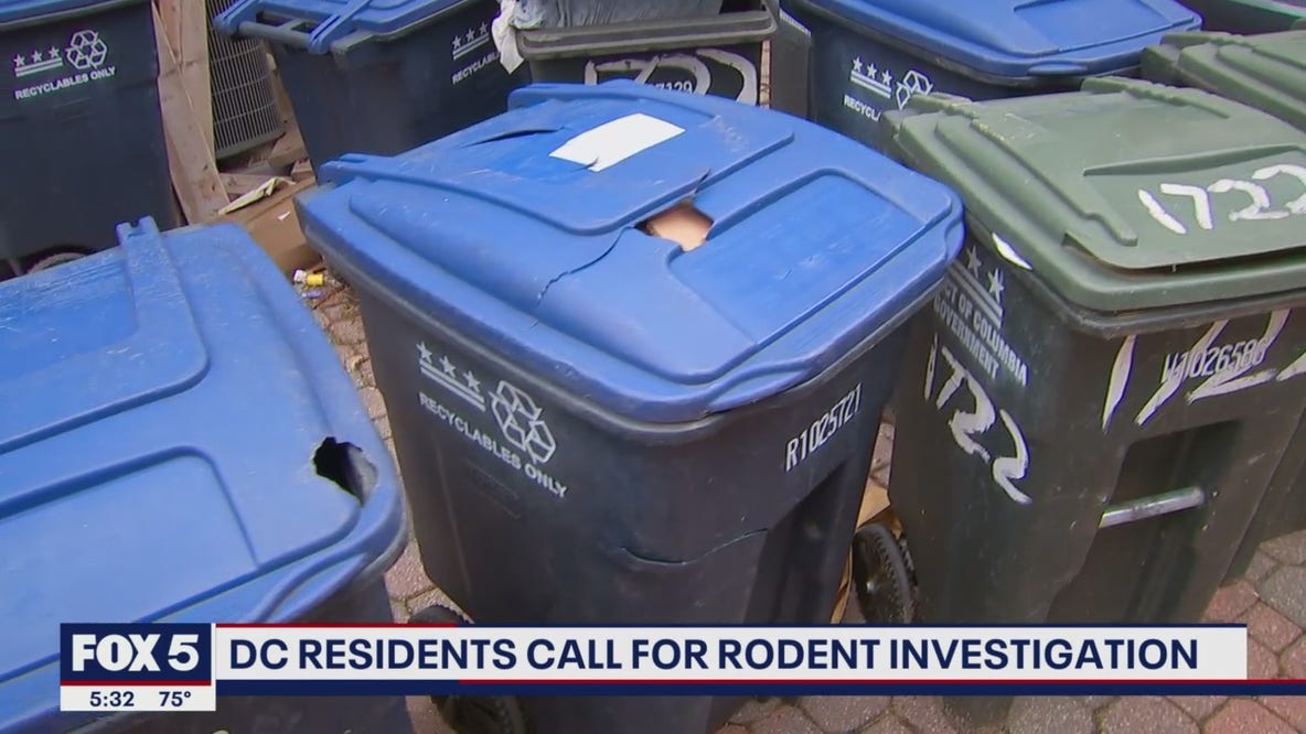 Neighborhood group calls for investigation into DC's rat problem