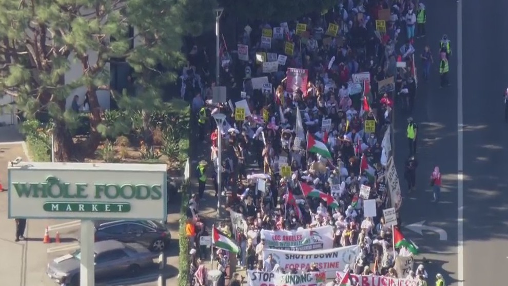 Hundreds gather for pro-Palestine rally in LA