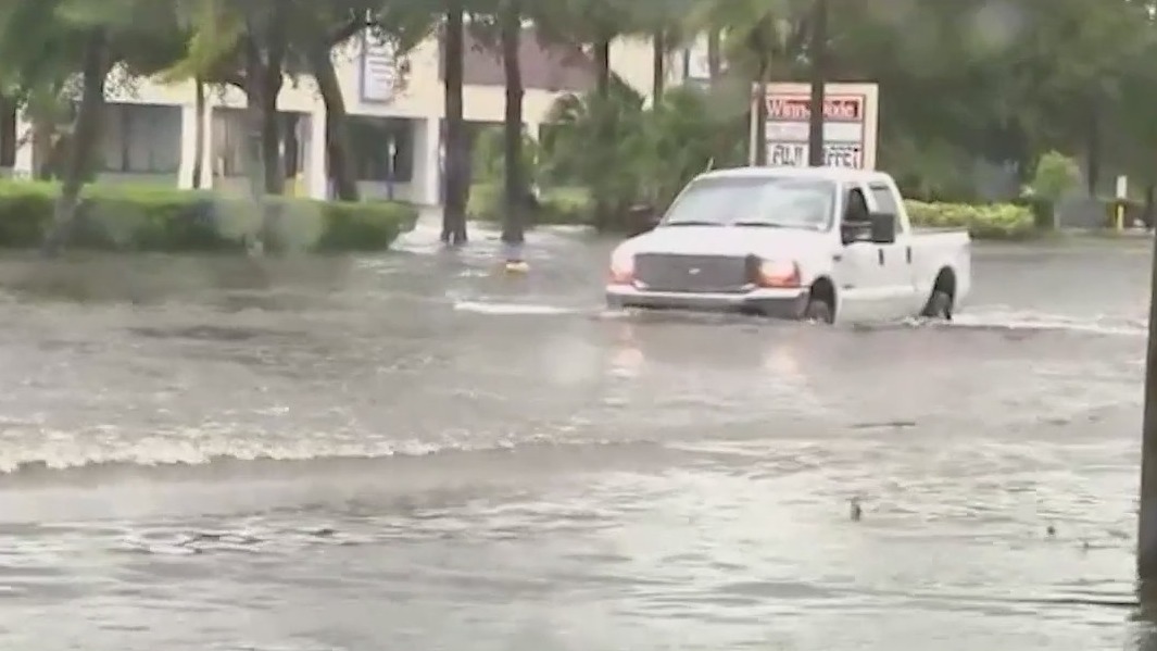 Volusia County passes 'stupid motorist law'