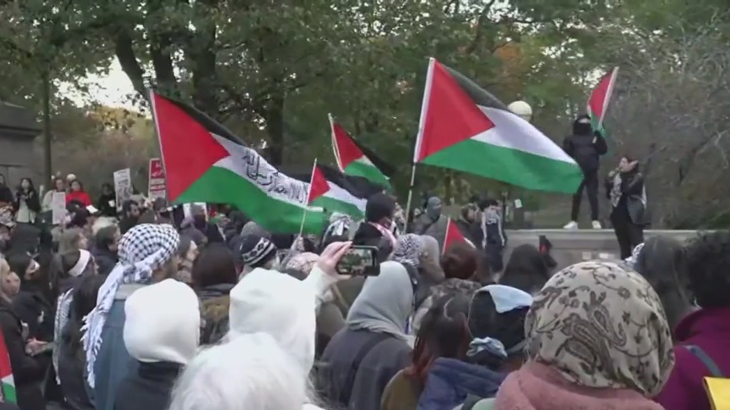 Pro-Palestinian rally in Columbus Circle