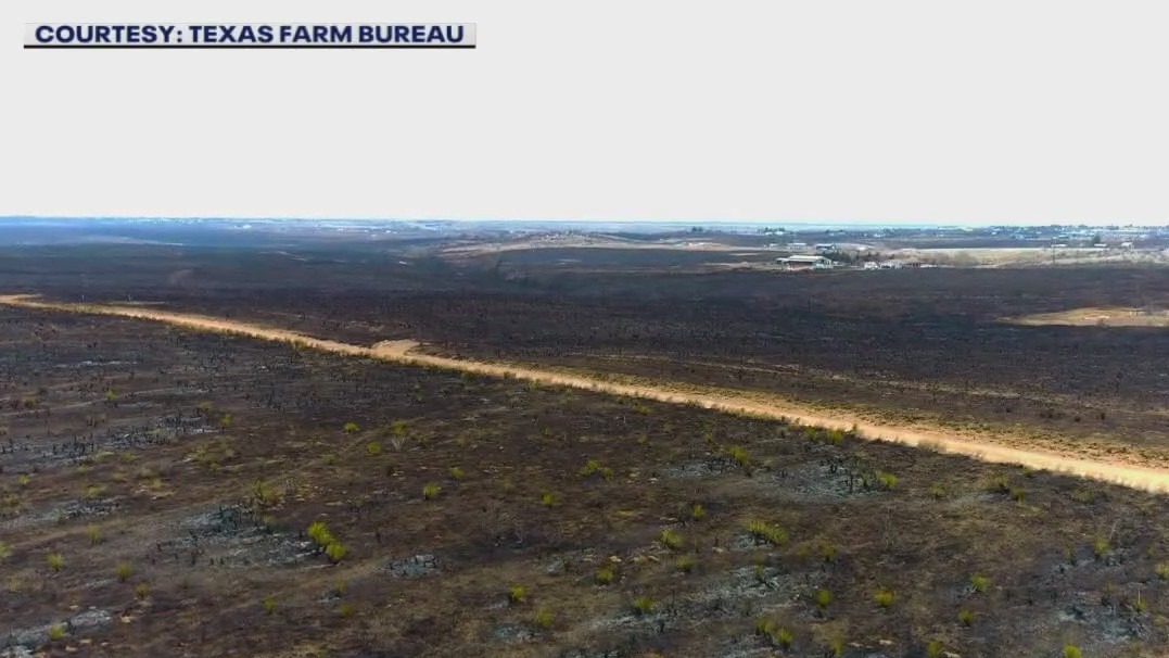 Texas Panhandle fire: Central Texas groups help with relief efforts