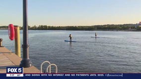 Paddle boarding on the Potomac River