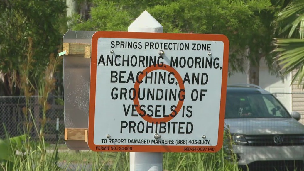 New Springs Protection Zones aiming to protect manatees in Weeki Wachee River