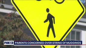 Parents concerned over string of muggings