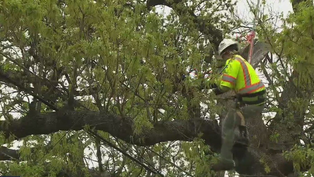 Austin Energy ramps up tree trimming efforts