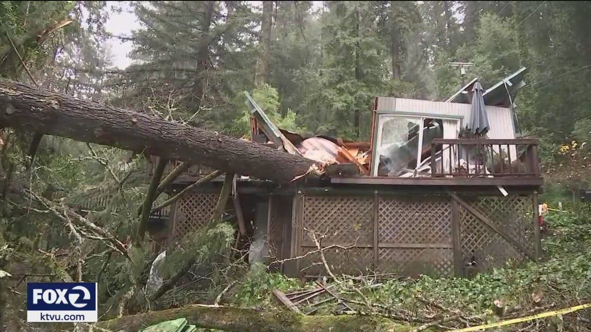 House smashed by tree as storm blows through North Bay