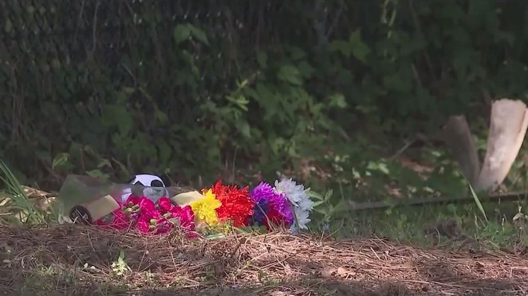 Elementary student dies after being hit by SUV