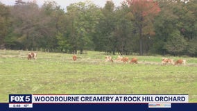Hidden Gems of the DMV: Woodbourne Creamery at Rock Hill Orchard