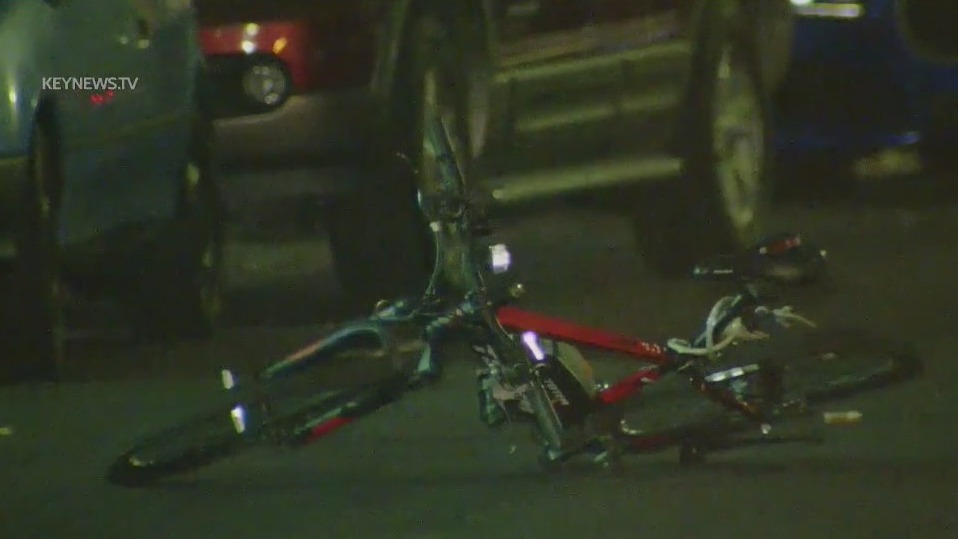 Cyclist killed by hit-and-run driver in South LA