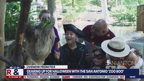 San Antonio 'Zoo Boo' kicks off in Texas