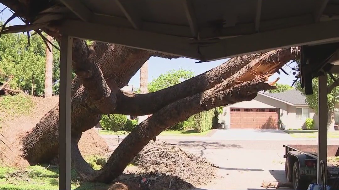 Parts of Phoenix still dealing with monsoon damage